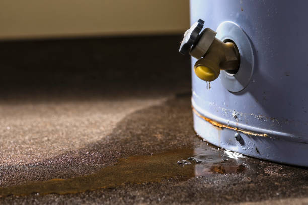 Best Local water damage restoration  in Erda, UT