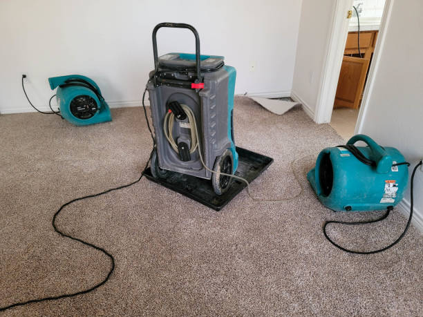 Best Water damage restoration near me  in Erda, UT
