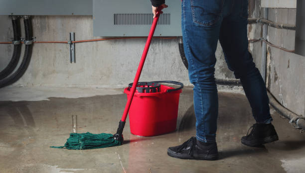 Best Ceiling water damage repair  in Erda, UT