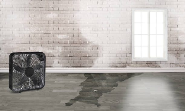 Best Commercial water damage restoration  in Erda, UT