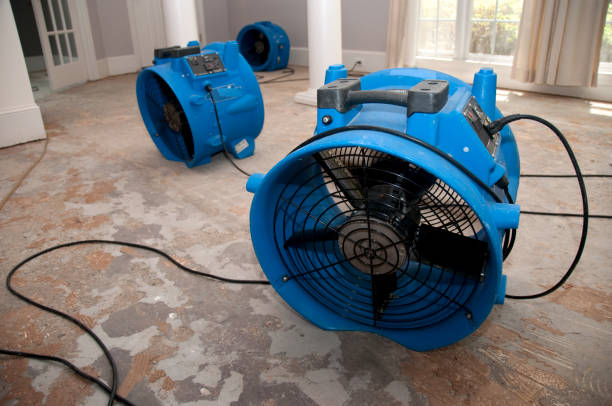 Best Flood damage cleanup  in Erda, UT