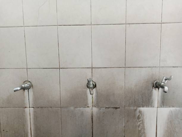 Best Mold removal after water damage  in Erda, UT