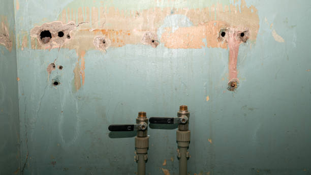Best Local water damage restoration  in Erda, UT