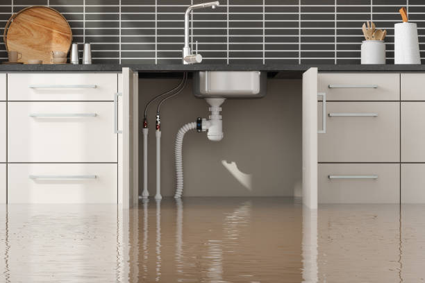 Reliable Erda, UT Water damage restoration Solutions