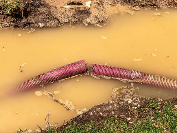 Water damage restoration experts in Erda, UT