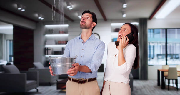 Best Water damage restoration experts  in Erda, UT