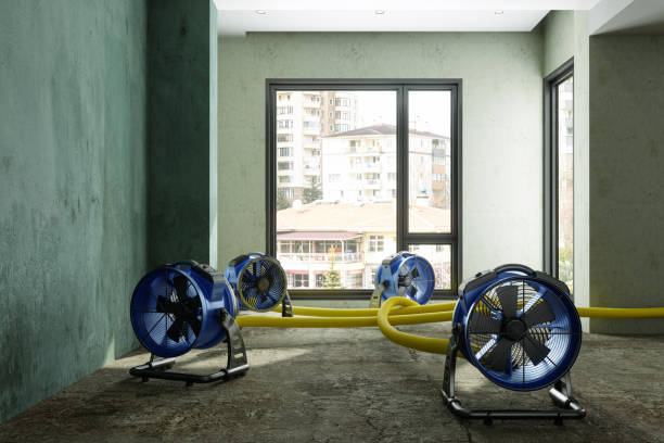 Best 24/7 water damage repair  in Erda, UT