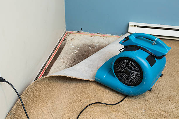 Best Residential water damage restoration  in Erda, UT